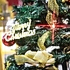 イタリアン スパニッシュ Figaro フィガロ 本厚木のコース写真