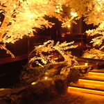 冬は白樺のある景色に。冬を思わせる凛とした川の音はより一層澄んだ空気を演出。