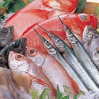 毎朝仕入れる木津市場の天然魚