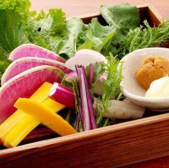 秦野産「遊亀農園」の鮮度抜群の有機野菜の写真