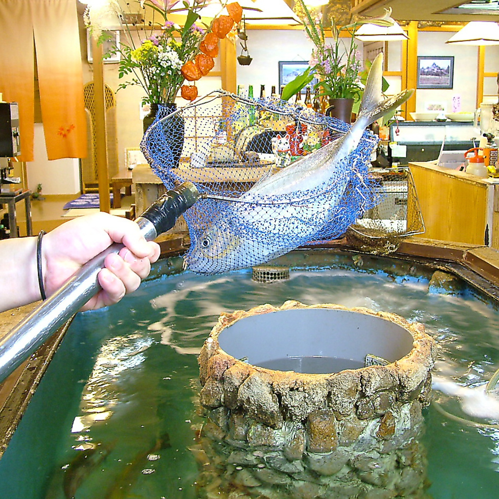 生簀から揚げられたばかりの旬魚を熟練の技でさばく…鮮度に自信あり！