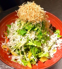 九条葱と京水菜、シラスのサラダ