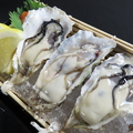 料理メニュー写真 生牡蠣