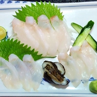 活〆うつぼのさしみ