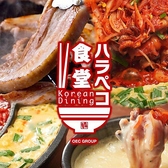 韓国料理 ハラペコ食堂 天満店の写真