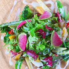 季節の野菜サラダ