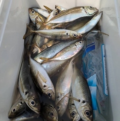 釣人酒場ぷくぷくの特集写真