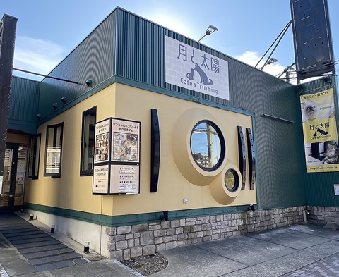 Dogs&Cats Cafe 月と太陽