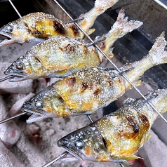 いた炉 出水ふれあい通り店の特集写真