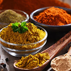 【飲み放題〇】本格スパイスと炭火タンドール　エスニックダイニング　ビニタ　麹町店の写真2