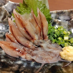 富山産生ほたるいか