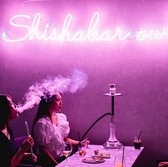 shisha cafe bar OWL シーシャカフェバーアウルの雰囲気2