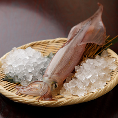 【名物】いけす泳ぎの活きイカの写真