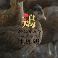 ◆当店おすすめ！宮崎県産の都城の金丸鶏