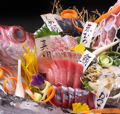 豪華お造りてんこ盛り♪52年の目利き力で選んだ旨い魚で