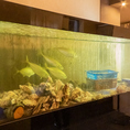 店内には生け簀が設置されており、調理直前まで魚介類を優雅に泳がせている為、冷蔵や冷凍の物と比べて格段に鮮度が高く絶品です！お刺身やお寿司など生でいただく海鮮メニューはマストオーダーです。