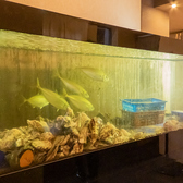 店内には生け簀が設置されており、調理直前まで魚介類を優雅に泳がせている為、冷蔵や冷凍の物と比べて格段に鮮度が高く絶品です！お刺身やお寿司など生でいただく海鮮メニューはマストオーダーです。