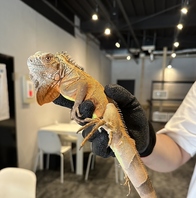 チャージ料金が激安