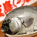 長崎県五島列島から仕入れる鮮魚がウリのバル★