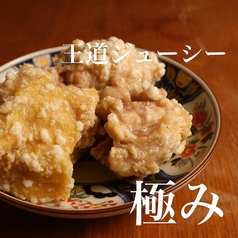 鶏モモ肉のから揚げ～プレーン～　