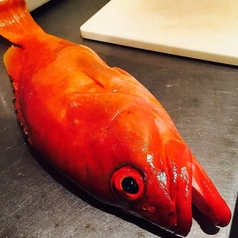 家烹酒肆 世楽の特集写真