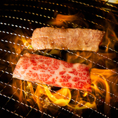牛傳 Gyuden ギュウデン 赤坂溜池山王パークタワー店