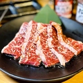 料理メニュー写真 〈本格逸品〉 上ハラミ　(タレ・塩)