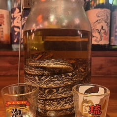 ハブ酒
