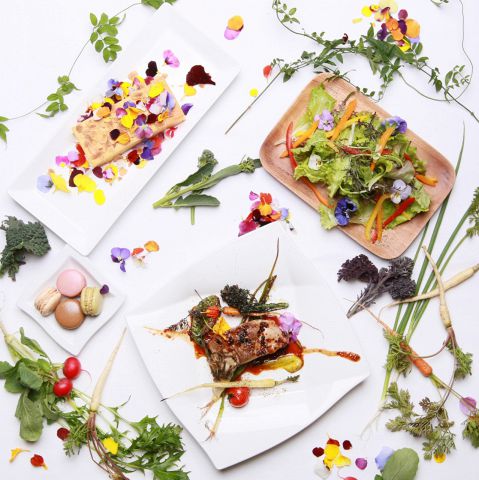 長野市 長野 イタリアン フレンチ の エディブルフラワー 特集 長野市 長野 イタリアン フレンチ の エディブルフラワー 特集