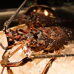 銀座 侍の特集写真