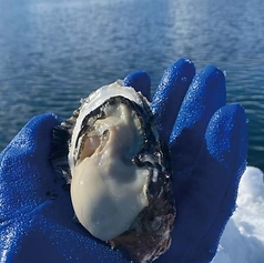 L’ECAILLER　8TH SEA OYSTER　TAKANAWA店の写真2