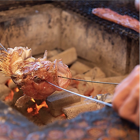 ���~����r�A�K�[�f��BBQ�X�J�C�e���X ���X