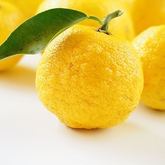 ゆずサワー ~徳島県産木頭柚子使用~