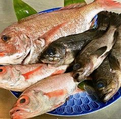 【鮮度と美味しさが自慢です】