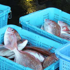 地元、浜松・浜名湖の旬の食材「浜松パワーフード」