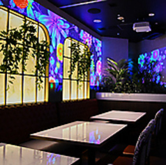 intellctuary アンテレクチュアリーの特集写真