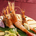 料理メニュー写真&nbsp;大海老の造り（2尾）