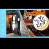 隠れBar むすび