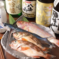 店内には毎朝仕入れた＜鮮魚＞！500円～