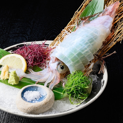 つまみにできるお寿司と北海道料理が自慢の海鮮居酒屋！錦店限定活！イカ釣り体験