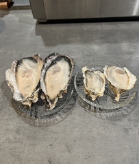 兵庫県坂越(さこし)産牡蠣