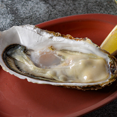 【季節のフレッシュオイスター】Daiといえばこれ！の写真