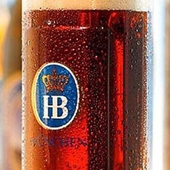 ホフブロイ ドゥンケル(300ml～)