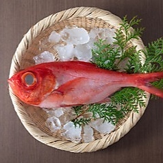 囲炉裏 えん encounterのコース写真