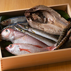 路地裏kado 金山店のコース写真