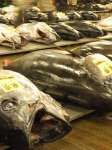 毎朝、築地で一本買いする本マグロは魚河岸が選ぶ[ホンモノ]！！