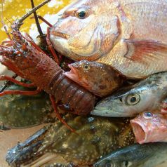 厳選された食材の仕入れと手作り料理にこだわったお店♪