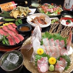 亀さん かめさん 特集写真1