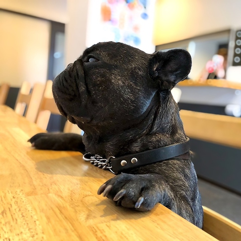 Cafebar8 小倉北区その他 カフェ スイーツ ネット予約可 ホットペッパーグルメ