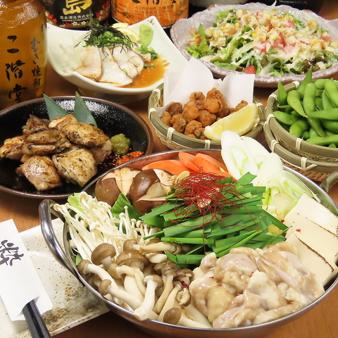 ������ ����� ���T����X